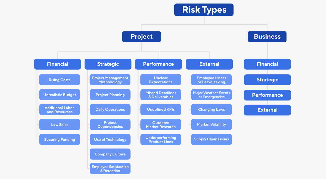 Project Management Risks